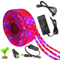 5050 LED Grow Lights Waterproof DC12V Plant Growing LED Strip Light tape Set with Power Switch for Garden Aquarium Greenhouse