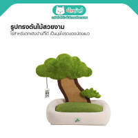 zeze Relax Plant Bed เตียงนอนต้นไม้ สีเขียวธรรมชาติ ที่นอนนุ่มสบาย มีแผ่นลับเล็บด้านหลัง แต่งบ้านก็สวย