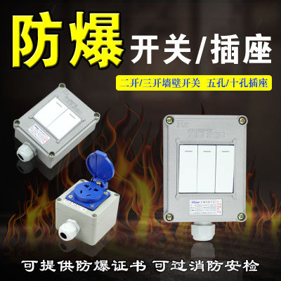 Explosion-proof switches Explosion-proof lighting switch 220v Single Connection Lighting Switch Single Door Double Door Industrial Wall Switch