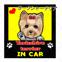 AJ13 Yorkshire terrier in Car สติ๊กเกอร์ สุนัข หมา สติกเกอร์ การ์ตูน สั่งทำ สติ๊กเกอร์ติดรถ กันน้ำ ไวนิล สติ๊กเกอร์ติดรถยนต์ แต่งรถ