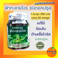 *ฟ้าาทะลายโจรรสกัด ของแท้ 100% สมุนไพรล้วนไม่ผสมแป้ง ไม่เจือปน 250 mg./แคปซูล 1 กระปุก 60 แคปซูล แก้ร้อนใน ไข้ ต้าน เชื้อ เสริม ภูมิ คุ้มกัน