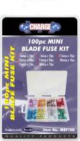 ฟิวรถยนต์แบบเสียบตัวเล็ก 100 ตัว - MINI BLADE FUSE KIT - 100 MIXED