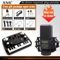 geegostudio V11+LGT240 Professional Piano Sound Card Microphone Set Singing For Live Special One-button Sound Repair Professional Sound Card Set