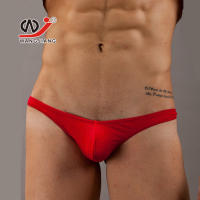 Mens Underwear Wholesale Foreign Trade Export Net Wj Sexy Mens Underwear Mesh T-Back T 1001Dk