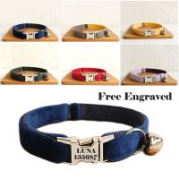 ✕ Personalized Cat Collar with Bell Engraving ID Tag Nameplate Kitten Collars Necklace Small Dogs Puppy Bulldog Chihuahua Yorshire