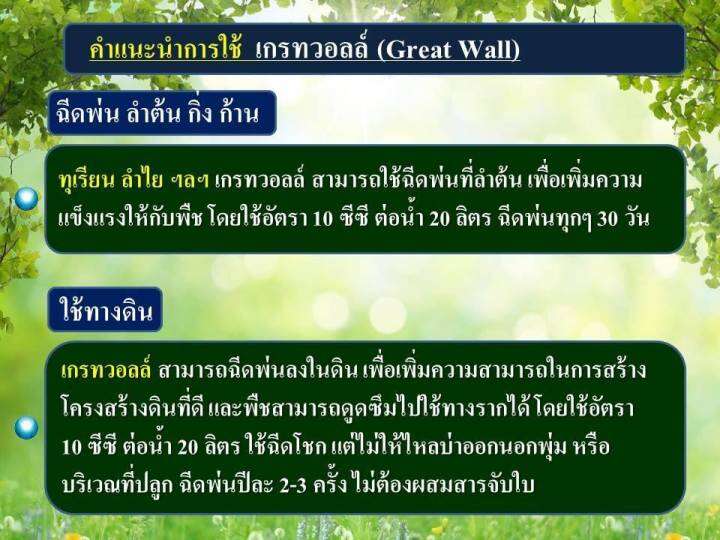 เกรทวอลล์-great-wall-ธาตุซิลิกอน-si-500cc