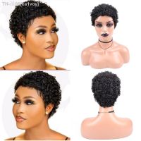 Short Afro Curly Synthetic Hair Wigs for Black Women Short Hairstyles Pixie Cut Wigs with Thin Hair Black Brown Blonde Hair Wigs [ Hot sell ] ea1voy