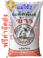 (ส่งฟรี แม่โจ้2 กรมฯ) เมล็ดพันธุ์ ข้าวเหนียว กข แม่โจ้2  กรมการข้าว (25 กก.)