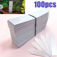 100Pcs 10x2Cm Bunga Tanda T Tipe Berkebun Label Pembibitan Plastik Label Tanaman Ornamen Taman putih