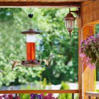 Bird Feeder Hook การออกแบบร่มกันสนิมโลหะตะขอคู่ Insect Guard กลางแจ้ง Hummingbird Feeder Hanger Garden Supplies