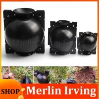 Merlin Irving Shop 5/8/12cm Plant Rooting Ball fruit tree Root Growing Box Grafting Rooting Growing Box Breeding Case For Garden tools supplies