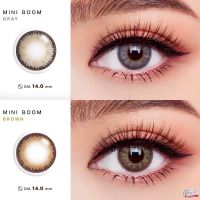 คอนแทคเลนส์ Wink Lens Mini Boom(Gray,Brown) ค่าสายตา 0.00 ถึง -7.50