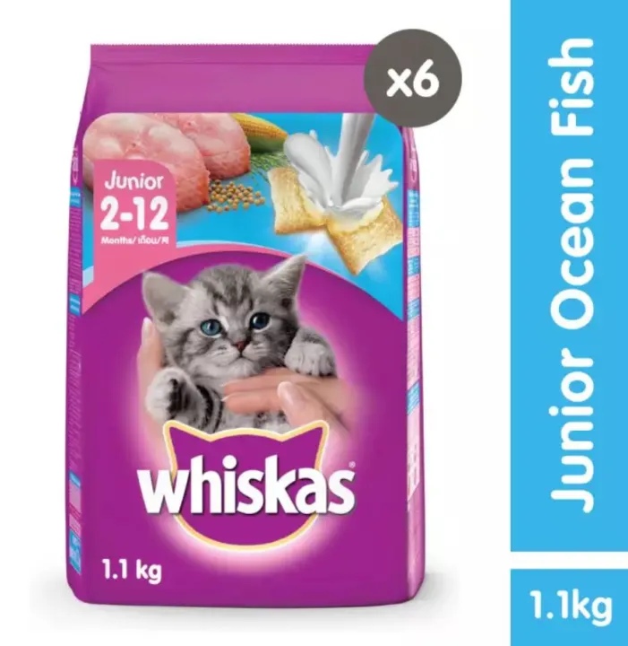 WHISKAS® Junior Ocean Fish Flavor w/Milk Dry Cat Food Pack of 6 (1.1kg