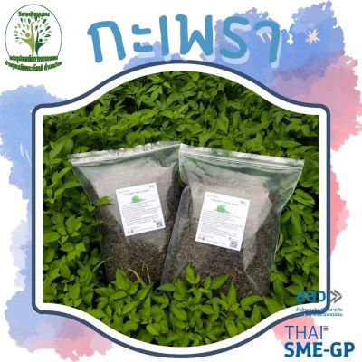 กะเพรา อบแห้ง ขนาด 50/100 กรัม(Holy basil)  ใบกะเพรา ผักสวนครัว ผักสมุนไพรอบแห้ง ใช้เป็นชาหรือประกอบอาหาร ร้านกันเองสมุนไพรไทย สินค้าพร้อมส่ง สอบถามได้เลยค่ะ