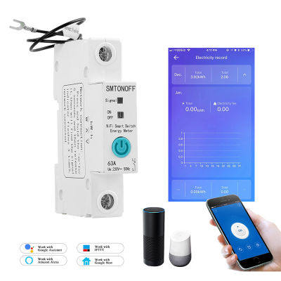 1P eWelink Single phase Din rail WIFI Smart Energy Meter Power Consumption kWh Meter wattmeter with Alexa google for Smart home
