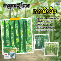 เมล็ดบวบเหลี่ยม เฮอคิวลิส F1 ตราศรแดง Luffa seeds ขนาด50กรัมและ25เมล็ด เมล็ดพันธุ์บวบเหลี่ยม เมล็ดพันธุ์ผักสวนครัว เมล็ดพันธุ์ผัก ศรแดง