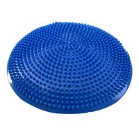 Yoga Balls Massage Pad Inflatable Balance Cushion Disc Mat Fitness Exercise Training Ball Rehabilitation Pad