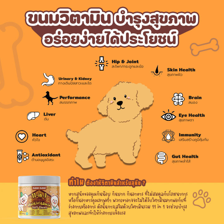 สุดคุ้ม-healthy-set-11-in-1-probiotics-krill-oil-วิตามินบำรุงสัตว์เลี้ยง