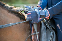 ถุงมือขี่ม้าสำหรับเด็กรุ่น 560 (สีกรมท่า/ชมพู) 560 Kids Horse Riding Gloves - Navy/Pink