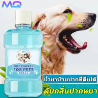 😻น้ำยาบ้วนปากที่ดื่มได้ น้ำยาดับกลิ่นปากแมว น้ำยาดับกลิ่นปากสุนัข ที่ดับกลิ่นปากหมา น้ำยาดับปากแมว ลดกลิ่นปากแมว ดับกลิ่นปากสุนัข ดับกลิ่นปากหมา ลดคราบพลัค แบคทีเรีย และหินปูนในช่องปาก กินได้ สกัดจากสมุนไพร 500ml น้ำยาบ้วนปากสุนัข ยาสีฟันสุนัข