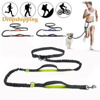 Pet Dog Cat Leash Traction Rope Reflective Adjustable Hand Free Dog Waist Belt Freely Jogging Pull Dog Leash Metal D-Ring Leashe