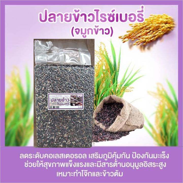 ปลายข้าวไรซ์เบอร์รี่-ติดจมูกข้าว-กินดี-มีประโยชน์