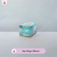 สคุชชี่ ทากทะเล ไอบลูม Squishy Sea Slugs IBloom