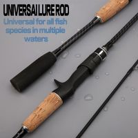 Sea Boat Fishing Rod 2 Sections Spinning Carbon Material Casting Pole 8-25g