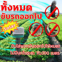 VE ทั้งหมด ขับรถออกไป ไล่นก อุปกรณ์ไล่นก เลเซอร์ไล่นก ที่ไล่นกพิราบ bird repeller เครื่องไล่แมว เครื่องไล่นก solar ไล่ค้างคาว เครื่องไล่งู เครื่องไล่นกพิราบ เครื่องไล่กระรอก ไล่กระรอกในสวน เครื่องไล่นกไฟ