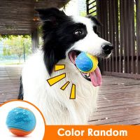 Dog Squeaky Toys Balls Strong Ruer Durable Boy Chew Ball Bite Resistant Puppy Training Sound Toy Teeth Clean Pet Supplies
