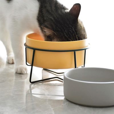 Ceramic Cat Food Bowl Nonskid Pet Feed Bowl Dog Water Bowl With Stand No Spill Feeder Dish Feeding Puppy Bowls Pet Supplies