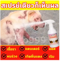 Kaililai สเปรย์รักษาขี้เรื้อน 500ml ยาขี้เรื้อนหมา ยาแก้เรื้อนหมา ยารักษาขี้เรื้อนหมา ผื่นแดง ​อาการคัน ผิวหนังอักเสบ ตุ่มคัน ขี้เรื้อนเรื้อรัง เชื้อราแมว ยาทาขี้เรื้อน ยาแก้เรื้อนแมว สเปรย์รักษาขี้เรื้อนหมา สเปรย์รักษาขี้เรื้อนหมาแมว