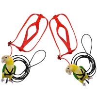 2 Pcs Parrot Bird Harness Leash - Pet Anti-Bite Training Rope Outdoor Flying Harness and Leash-L &amp; XL