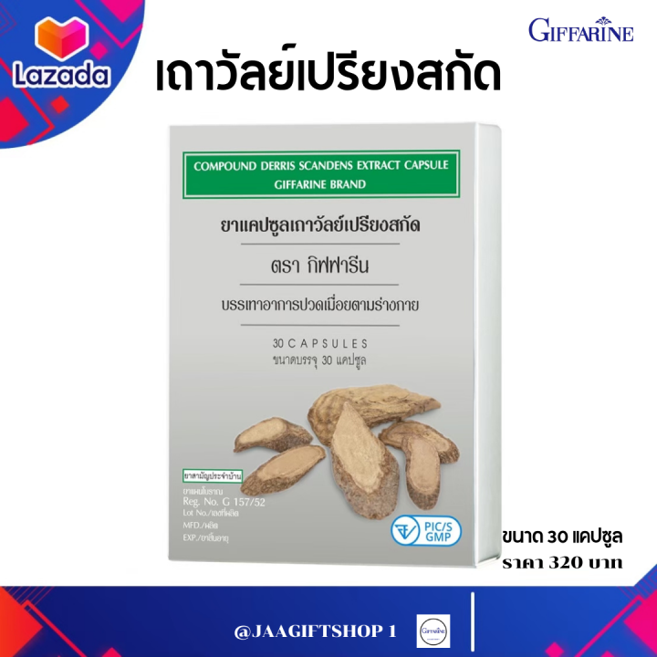 ส่งฟรี-เถาวัลย์เปรียง-กิฟฟารีน-ยาเถาวัลย์เปรียงสกัด-ชนิดแคปซูล-บรรเทาอาการปวดเมื่อยตามร่างกาย-อย-g-157-52-ขนาด-30แคปซูล-jaagiftshop-1