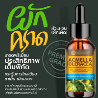 ผักคราดหัวแหวน Acmella Oleracea Extracted สารสกัดสมุนไพรธรรมชาติ เข้มข้นสูง (ชนิดน้ำ) ขนาด 25 มล.