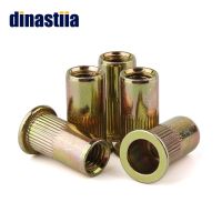 ☇✓✔ Carbon Steel Knurled Rivet Nuts Zinc Plated Color Flat Head Threaded Rivet Nuts Set Box Hardware Parts M3 M4 M5 M6 M8 M10 M12