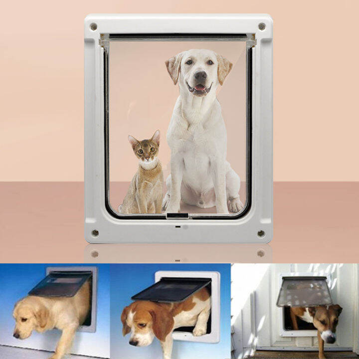 Two way outlet dog door