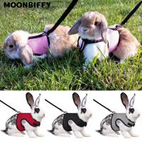 Cute Adjustable Pet Harness and Leash for Rabbit Bunny Cat Ferrets Outdoor Walking Pets Supplies Lapin Accessoires Pour Animaux