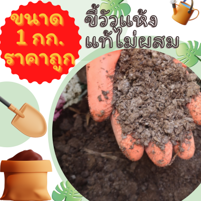 ขี้วัวแห้ง (ไม่ผสม) นน.1กิโลกรัม ราคาถูก