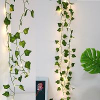 2M Artificial Plant Led String Light Creeper Green Leaf Ivy Vine for Home Wedding Decor Lamp DIY Hanging Garden Christmas Lights Fairy Lights