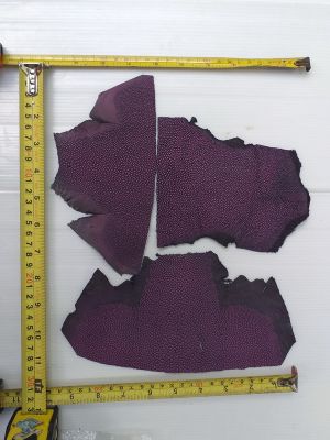 หนังปลากระเบนแท้ (stingray leather scraps) ใช้ทำเครื่องหนัง สีม่วง น้ำหนัก 80 กรัม  SK677