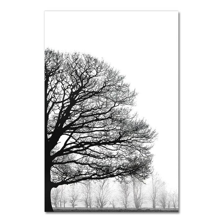 Hd Canvas Winter Tree Tranh Tường In Đen Sơn Màu Trắng Trang Trí Hình Ảnh  Phong Cách Scandinavia Cây Áp Phích Trang Trí Nhà Phòng Khách Trang Trí  Tường | Lazada.Vn