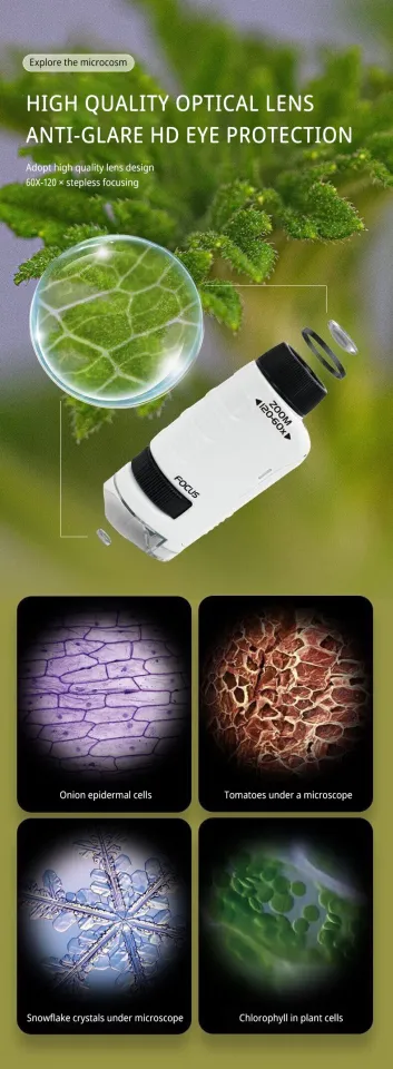 Mini Pocket Microscope Kit 60 To120x Portable Laboratory