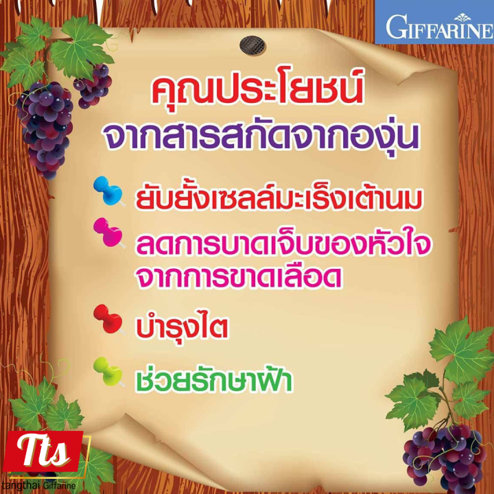 กิฟฟารีน-เกรปซีอีแมกซ์-grape-c-e-maxx-สารสกัดจากเมล็ดองุ่น-สูตรใหม่-เข้มข้นขึ้น-2-5-เท่า-เมล็ดองุ่น-เกรปซีด-เกรปซีอี