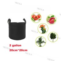 2 Gallon 20x20cm Fabric Grow Bag Felt Plant Bags with Handle Potato Vegetable Growing Planter Vertical Flower Pot Black YB23TH