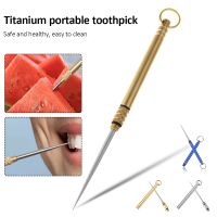 Portable Outdoor Tool Stainless Steel Toothpick Brass Creative Combination Stainless Steel Portable Toothpick Fruit Toothpick