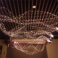 Wedding Hall Net LED String Lights 1x5/10m Roll Festival Party Hotel Ceiling Fairy Light Decorat DIY Meshes Starry Sky Rice Lamp