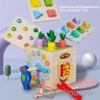 ของเล่น Montessori จาก 1 ปี | 8 in 1 ของเล่นไม้ 2 ปี | เกมคัดแยกไม้ปริศนา รูปแครอท สําหรับตกปลา| ของเล่นเพื่อการศึกษา ของขวัญสําหรับเด็กวัยหัดเดิน 1 2 3+