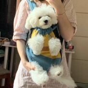 Địu vận chuyển thú cưng chó, mèo Chất vải bố bền, chắc chắn