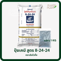 ปุ๋ยเคมี 8-24-24 (1kg) ตราเรือไวกิ้ง เพิ่มช่อดอก และเร่งการออกดอก ให้ผลดก บำรุงผลผลิต